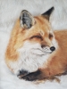 Winters Fox