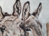 Inquisitive 