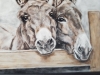Inquisitive 