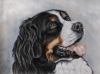 Bernese Expressions