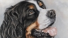 Bernese Expressions