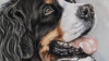 Bernese Expressions