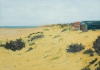 Sand, Sea and Sheds