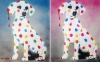 His & Hers, Damien's dotty, spotty, puppy dawg  + FREE bad poem (on canvas).