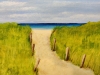 Pathway to the beach