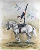 Gym horse