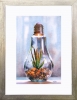 Garden of Light
