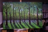 Spring Time in the Forest. 100cm X 150cm