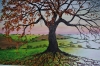 Oak of Autumn And Winter. 120cm X 100cm.