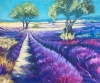 French Lavender Fields oil