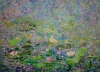 Monet's Waterlilies 2022