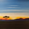 Savanna sunset