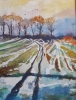 Winter Field