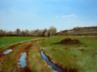 Campo