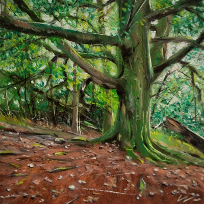 Cumbrian Forest
