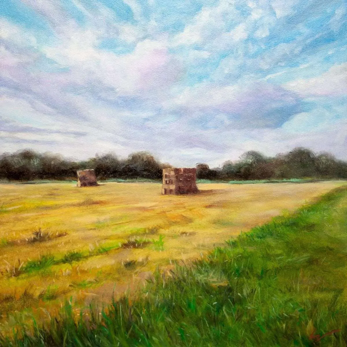 Hay Cubes