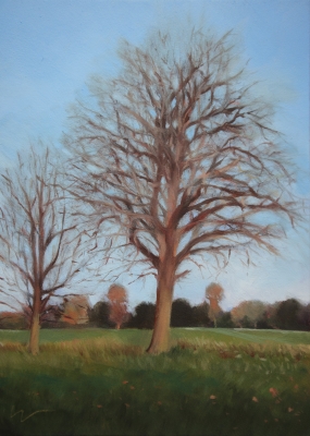 Winter Tree