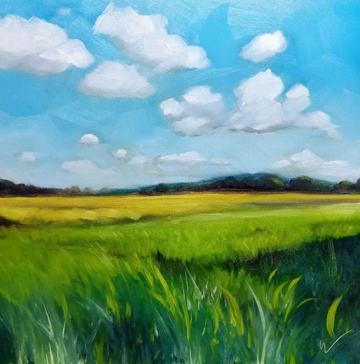 Yellow Field