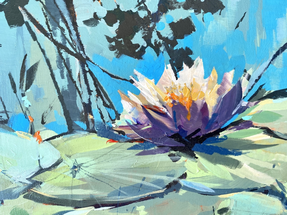 Flowering Water Lilies 2