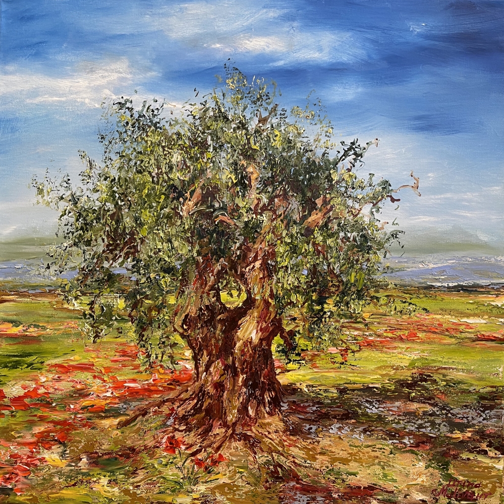 Olive Tree