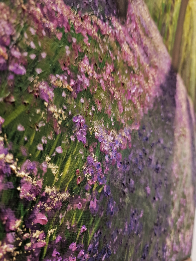 Bluebell Woodlands