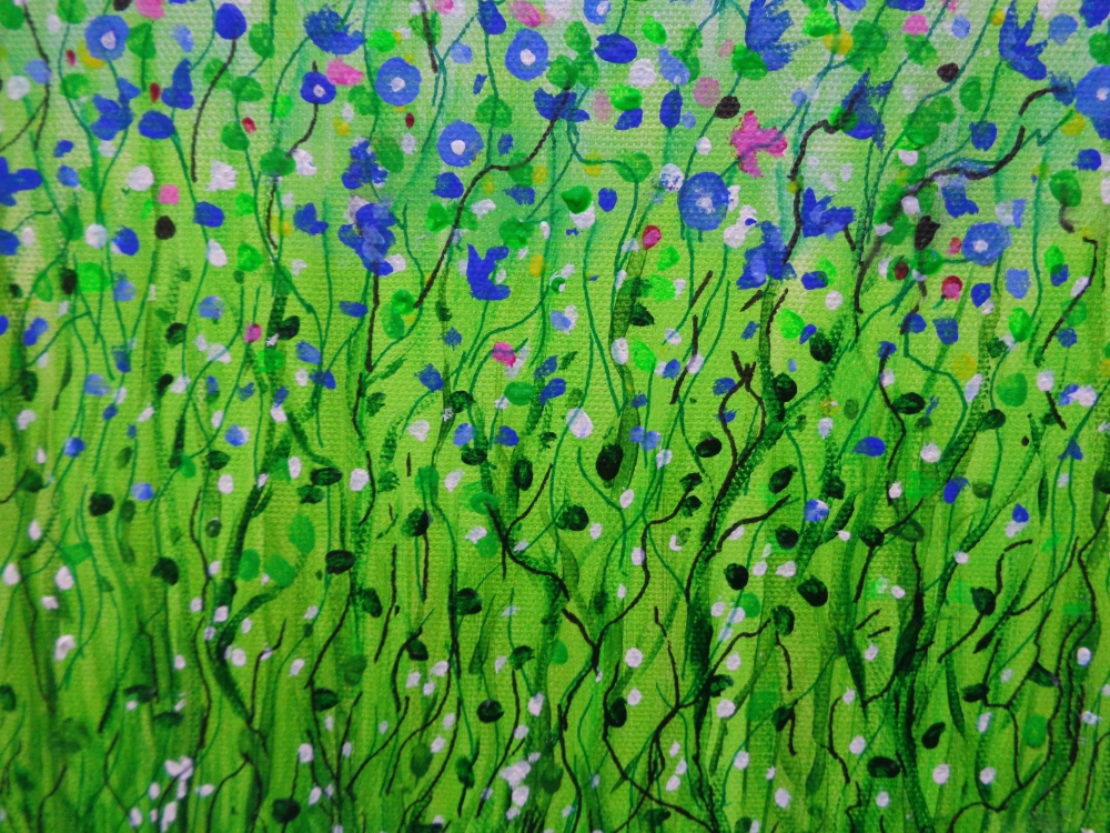 Cornflower Meadow