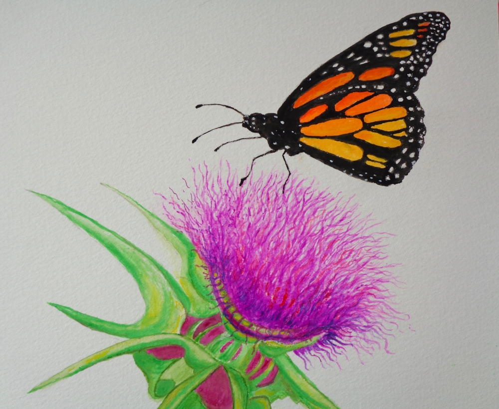 Monarch Butterfly and Thistle