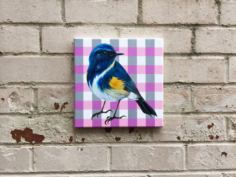 Checkered Charm: The Sapphire Songbird