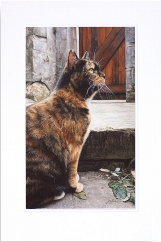 'Captivating' Tortoiseshell - Tabby Cat Art