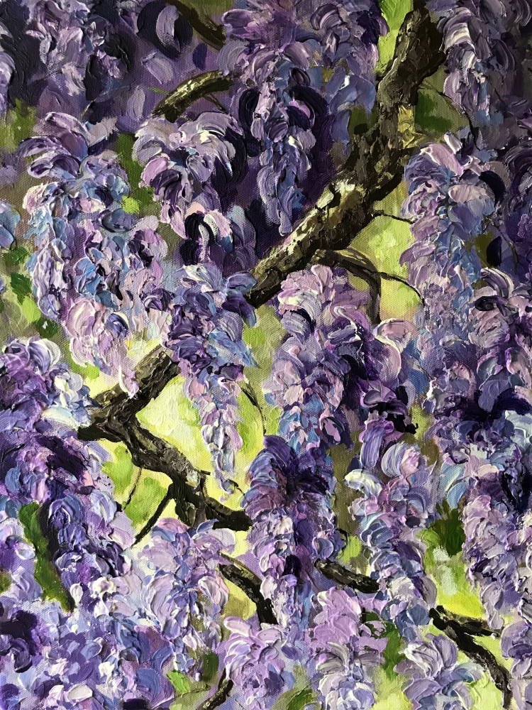 WISTERIA NO 2