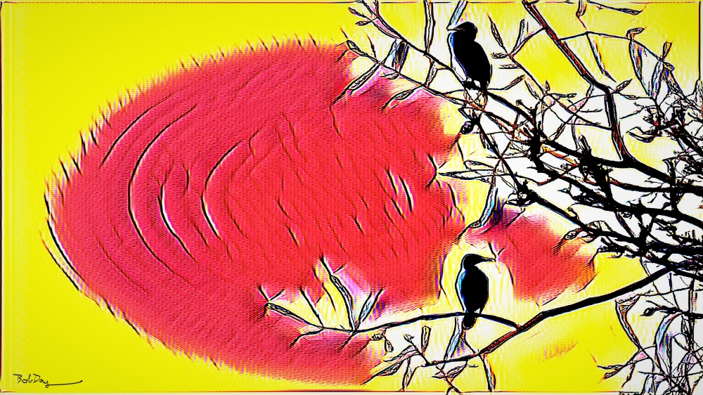 Cormorants In Tree