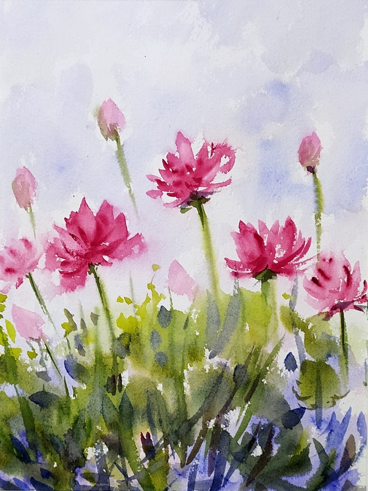 Crimson Garden Water Lilies