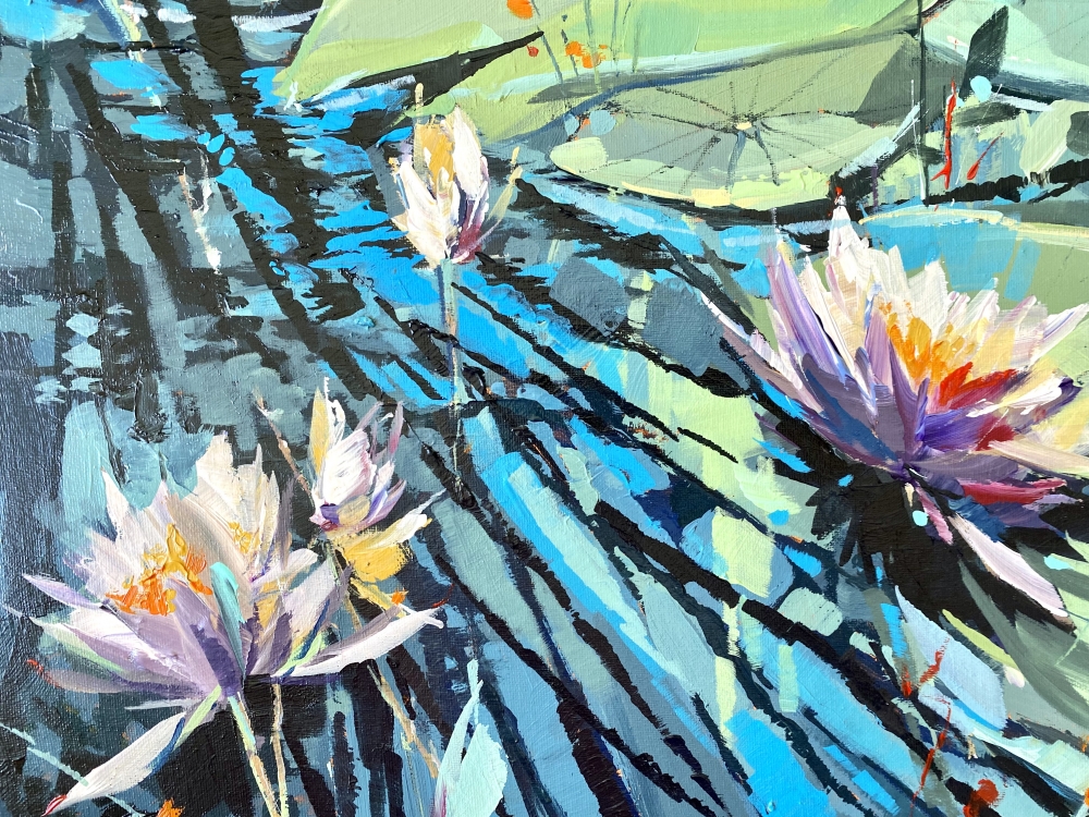 Flowering Water Lilies 2