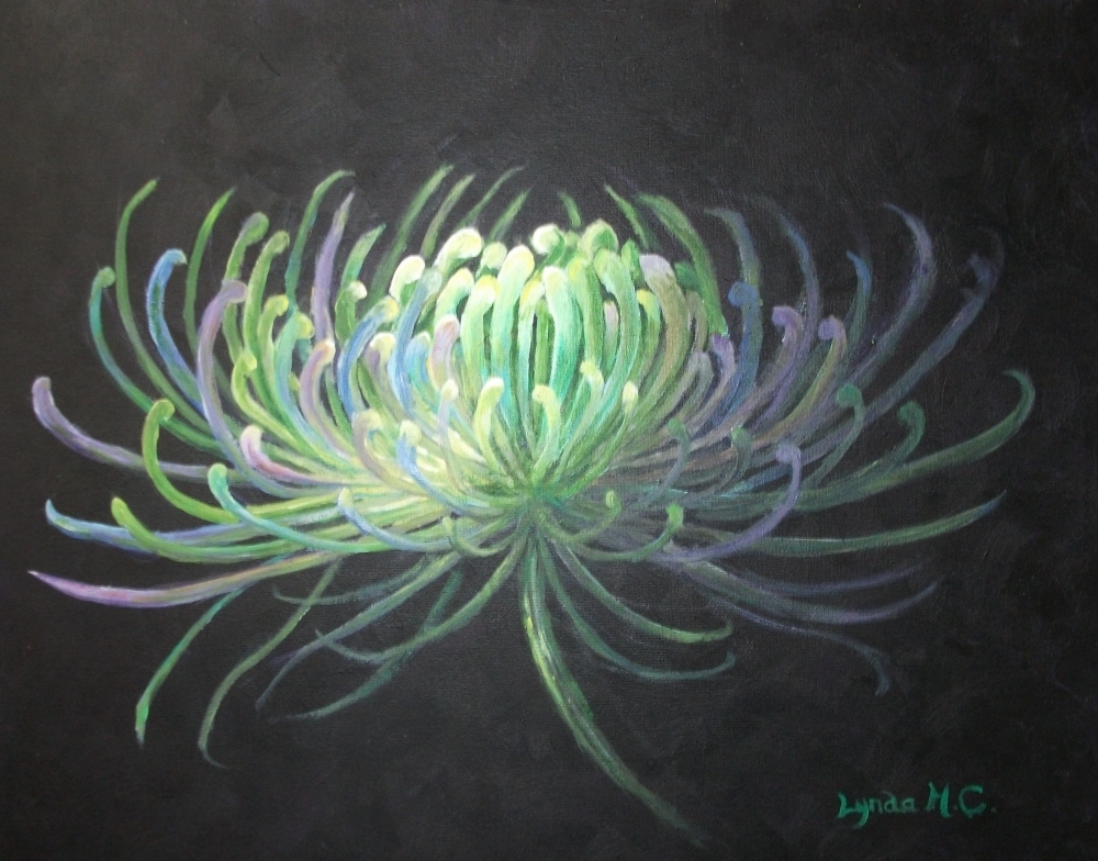 ILLUMINATED CHRYSANTHEMUM