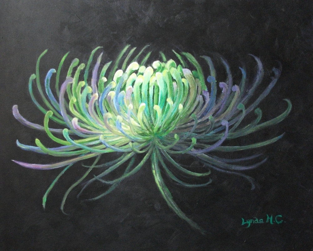 ILLUMINATED CHRYSANTHEMUM