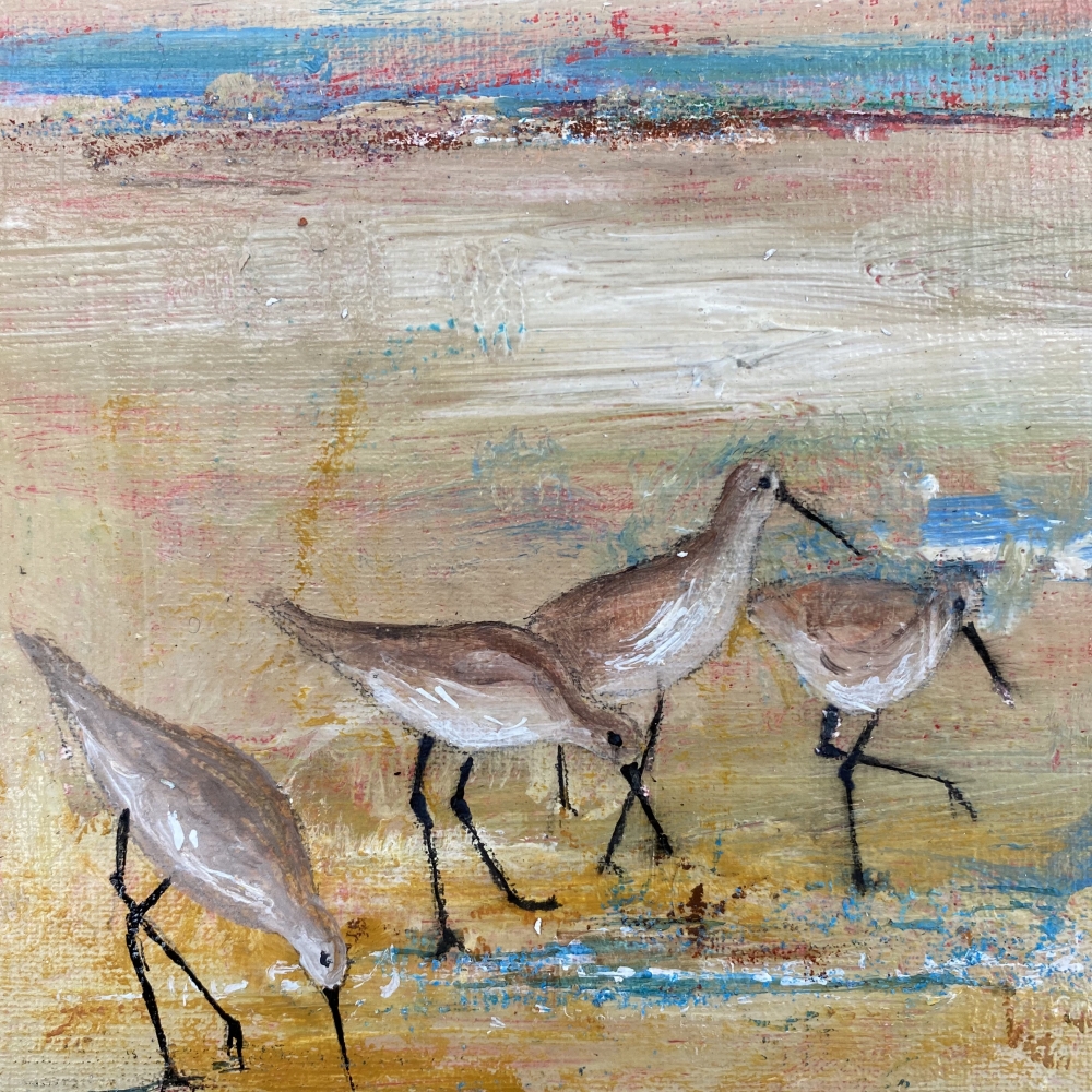 Shore Wading birds framed