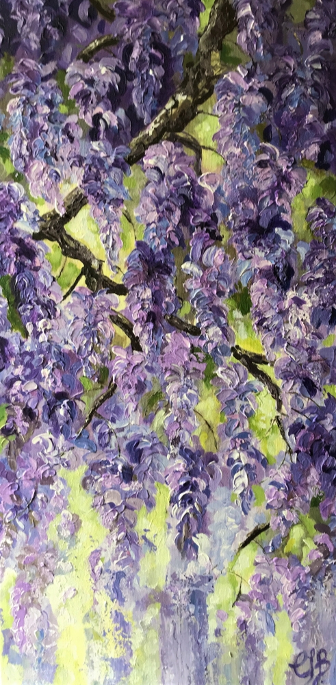 WISTERIA NO 2