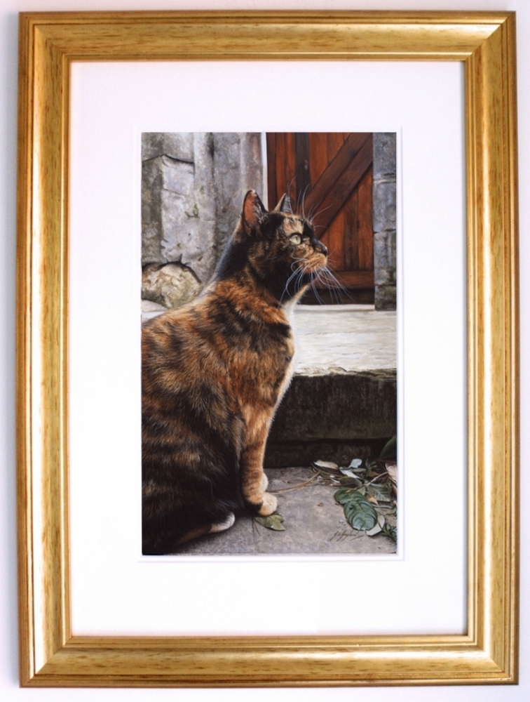 'Captivating' Tortoiseshell - Tabby Cat Art