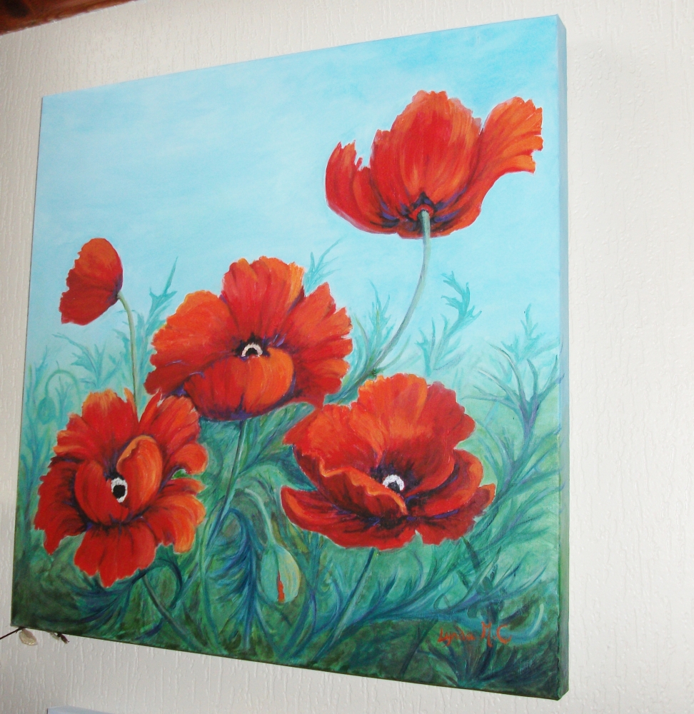 A BLAZE OF POPPIES