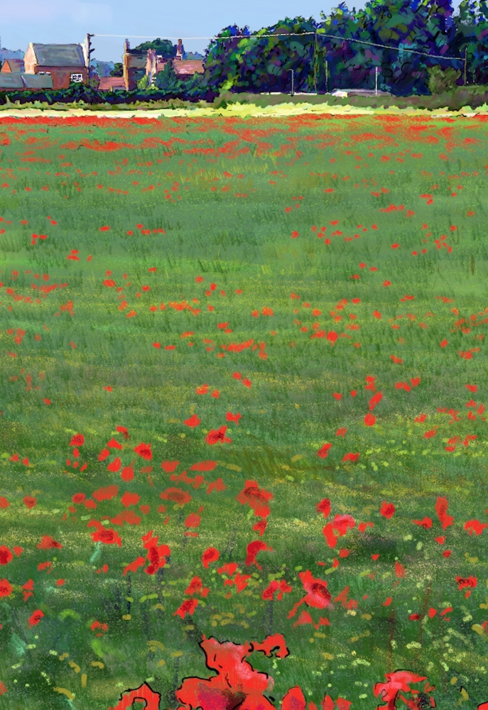 Poppies Haxey North Lincolnshire