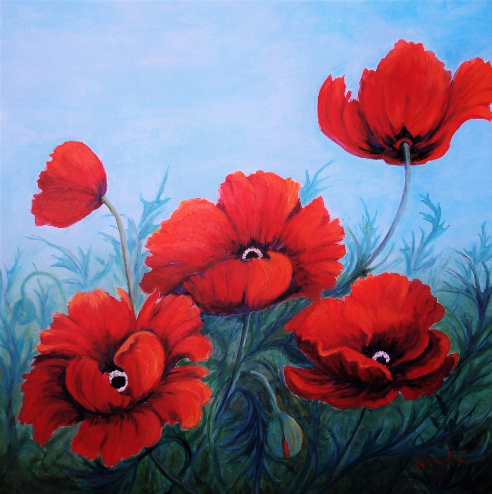 A BLAZE OF POPPIES