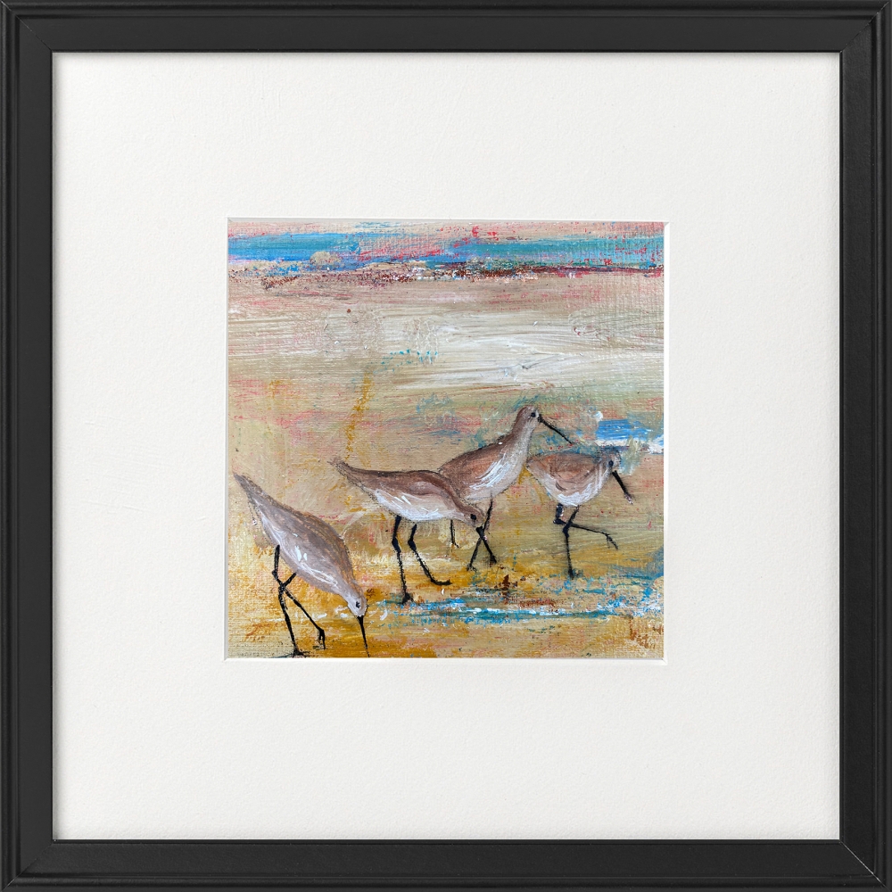 Shore Wading birds framed