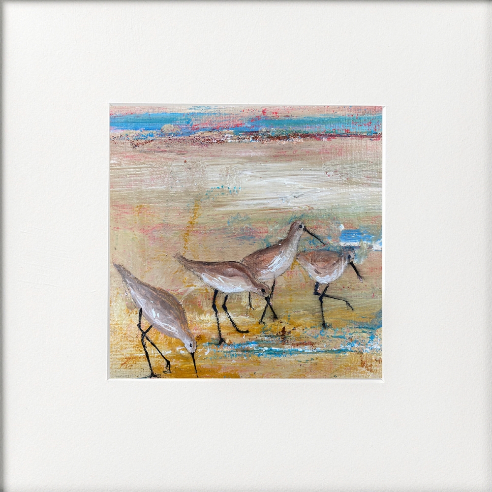 Shore Wading birds framed