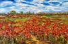 Path in the Field of Poppies