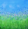 Cornflower Meadow