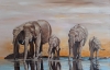 Elephants at the Watering  Hole