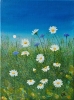 Sunny Daisies