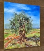 Olive Tree