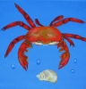 Crab