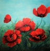 A BLAZE OF POPPIES